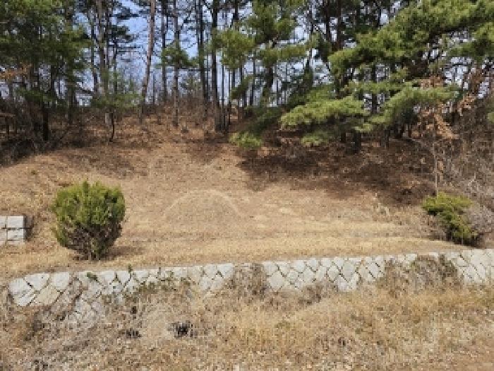 경남 산청군 단성면 도로 경매 물건 사진 5 · 2025타경505