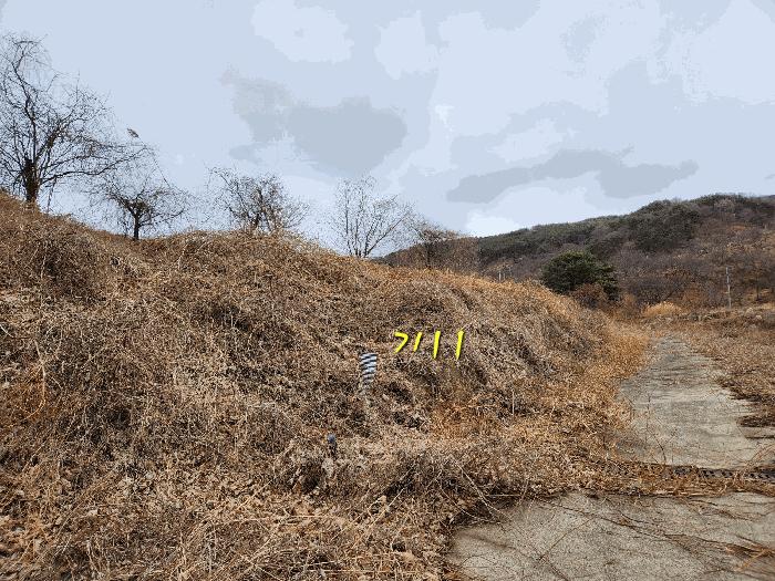 경남 산청군 단성면 도로 경매 물건 사진 6 · 2025타경505