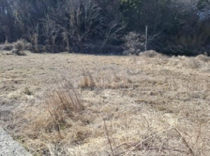 경남 남해군 삼동면 답 경매 물건 사진 4 · 2025타경511