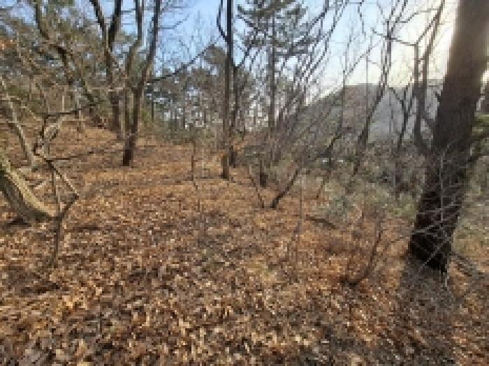 경남 남해군 미조면 전 경매 물건 사진 4 · 2025타경513