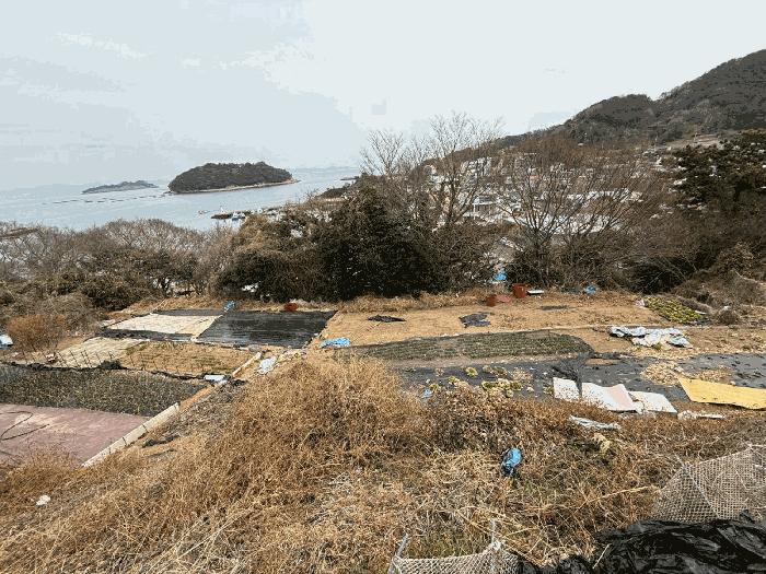경남 남해군 미조면 전 경매 물건 사진 3 · 2025타경513