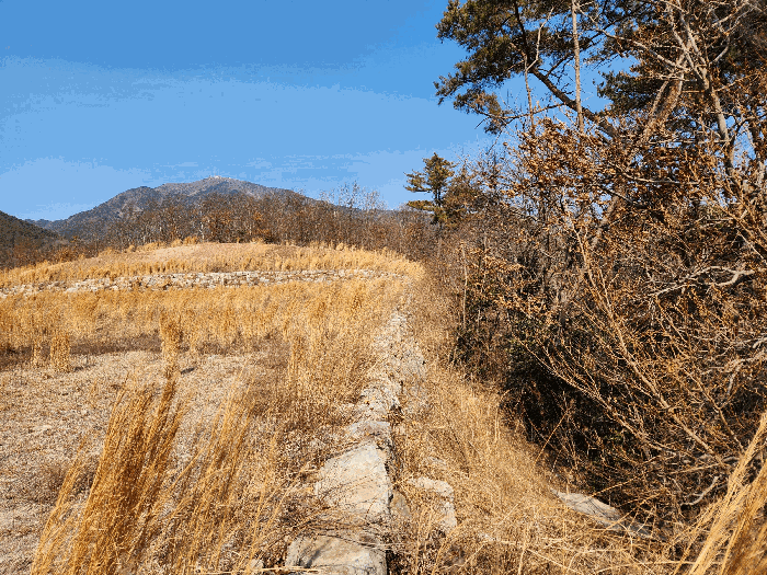 경상남도 진주시 금산면 용아리 542 답 경매 물건 사진