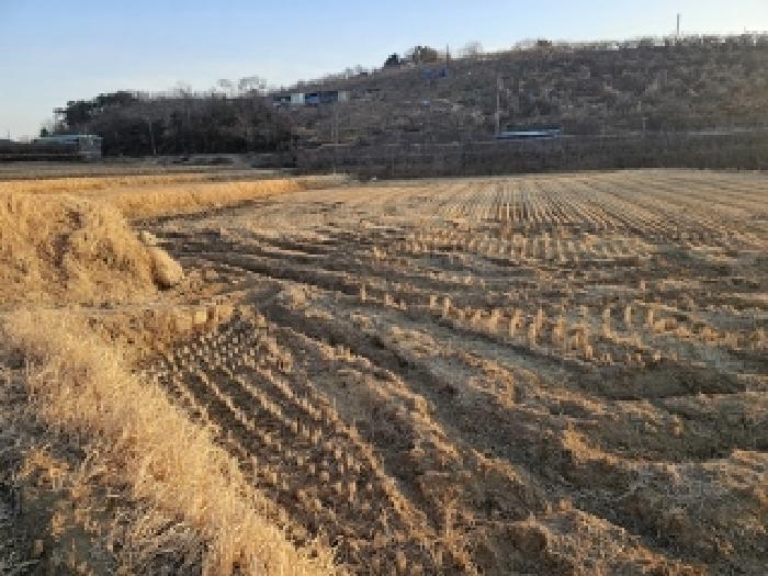 경남 진주시 금산면 답 경매 물건 사진 2 · 2025타경519
