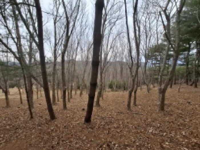 경남 사천시 곤명면 임야 경매 물건 사진 4 · 2025타경552