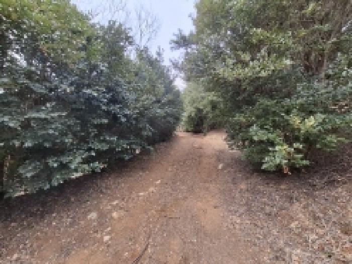 경남 사천시 곤명면 임야 경매 물건 사진 6 · 2025타경552