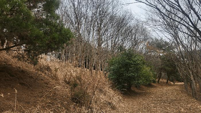 경남 사천시 곤명면 임야 경매 물건 사진 3 · 2025타경552