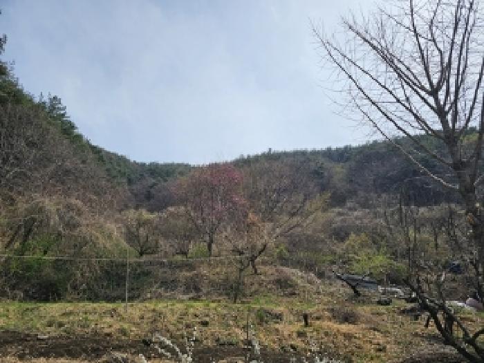 경남 진주시 명석면 전 경매 물건 사진