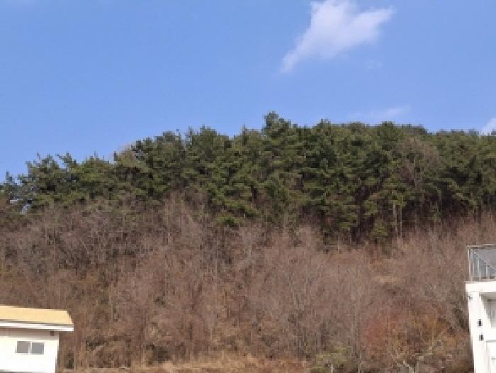 경남 사천시 백천동 임야 경매 물건 사진