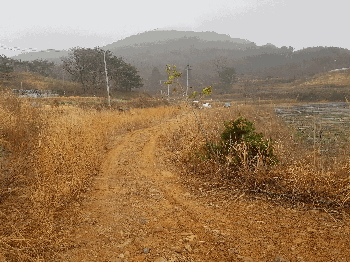 경남 하동군 양보면 답 경매 물건 사진 6 · 2025타경573