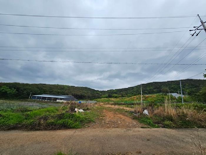 경남 하동군 양보면 답 경매 물건 사진