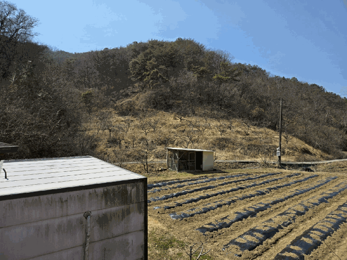 경상남도 산청군 신등면 간공리 18 과수원 경매 물건 사진