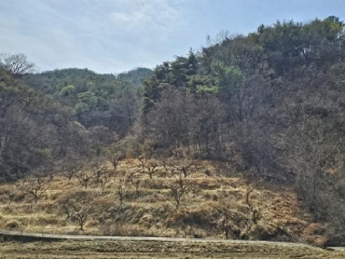 경남 산청군 신등면 과수원 경매 물건 사진 3 · 2025타경576