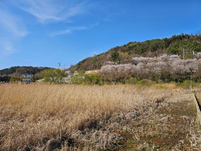 경남 하동군 고전면 답 경매 물건 사진 2 · 2025타경580