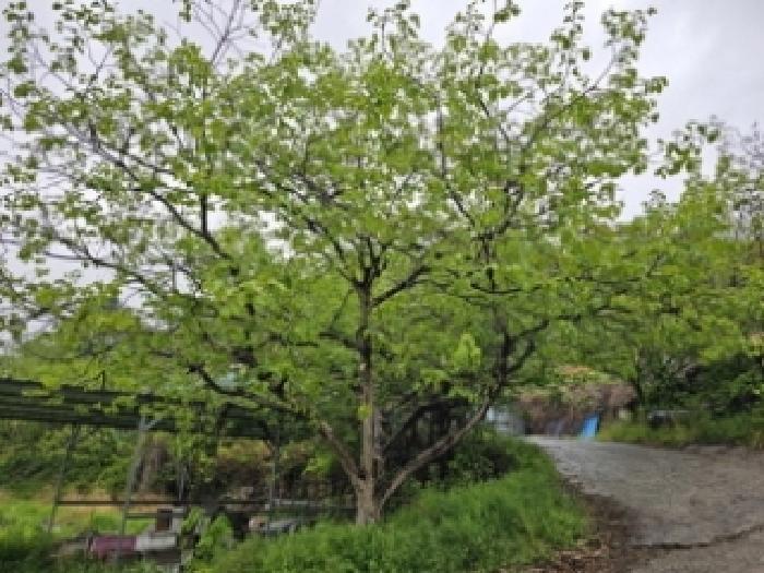 경남 하동군 청암면 답 경매 물건 사진 5 · 2025타경599
