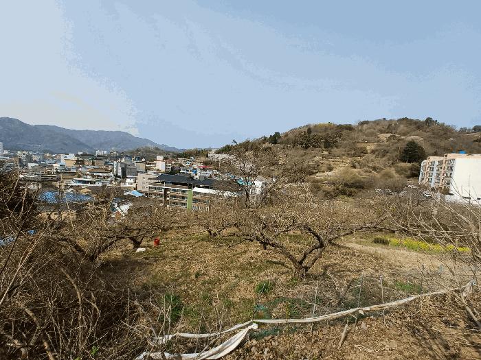 경남 하동군 하동읍 전 경매 물건 사진 4 · 2025타경615