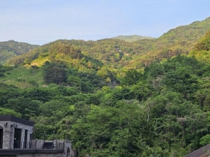 경남 하동군 화개면 답 경매 물건 사진