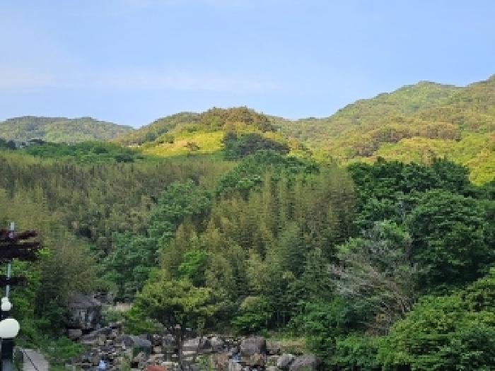 경남 하동군 화개면 답 경매 물건 사진 2 · 2025타경629
