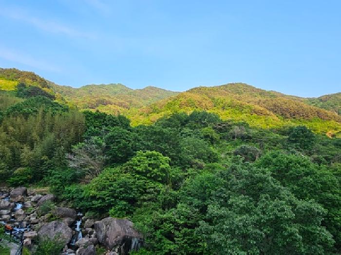 경남 하동군 화개면 답 경매 물건 사진 3 · 2025타경629