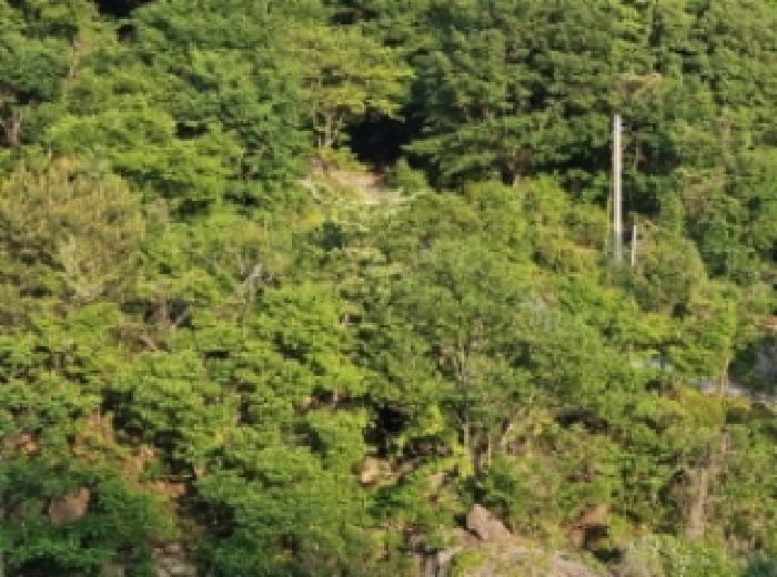 경남 하동군 화개면 답 경매 물건 사진 4 · 2025타경629