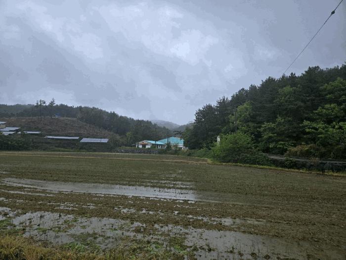 경상남도 사천시 서포면 구랑리 501 운동시설 경매 물건 사진