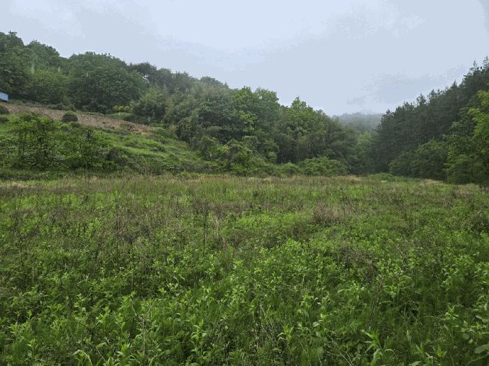 경남 사천시 서포면 운동시설 경매 물건 사진 3 · 2025타경658