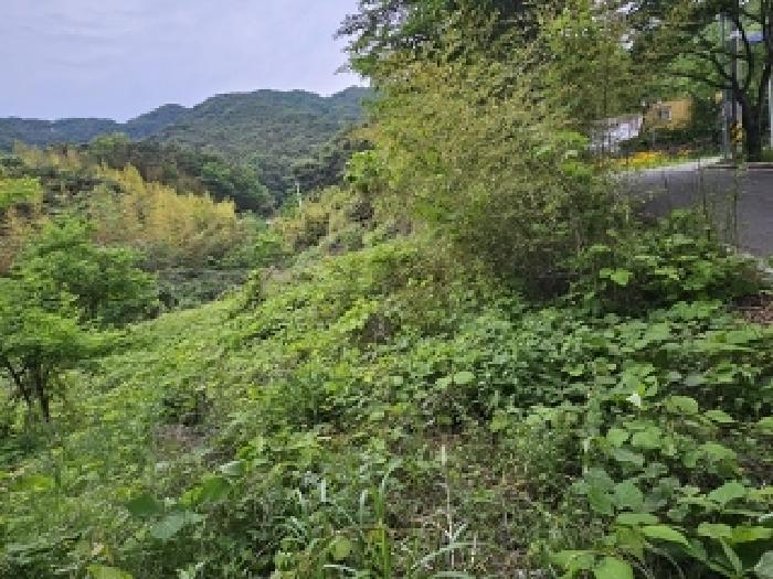 경남 산청군 단성면 임야 경매 물건 사진 2 · 2025타경664
