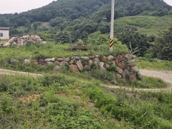 경남 산청군 단성면 임야 경매 물건 사진 5 · 2025타경664
