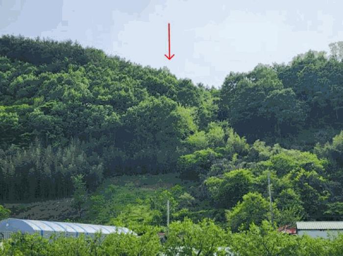 경남 하동군 하동읍 임야 경매 물건 사진