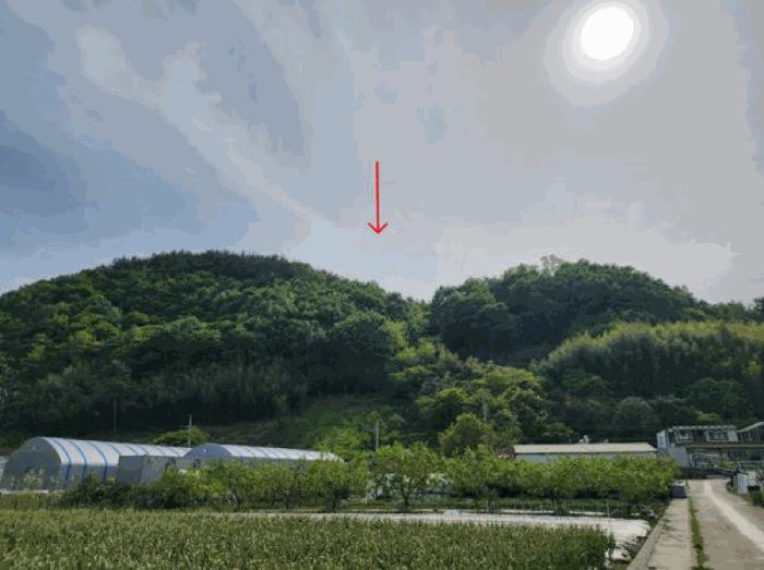 경남 하동군 하동읍 임야 경매 물건 사진 5 · 2025타경666