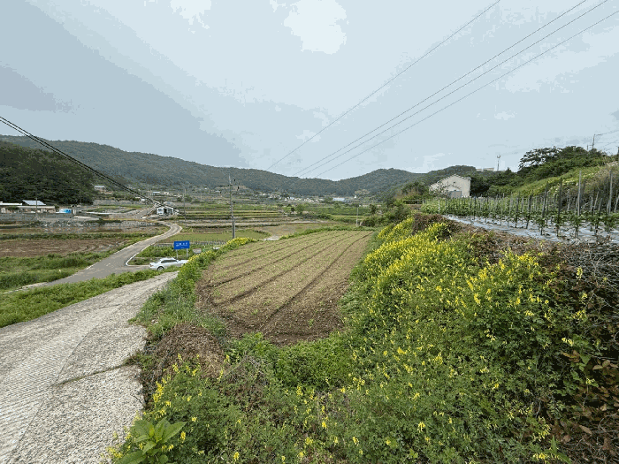 경남 남해군 삼동면 전 경매 물건 사진 4 · 2025타경671