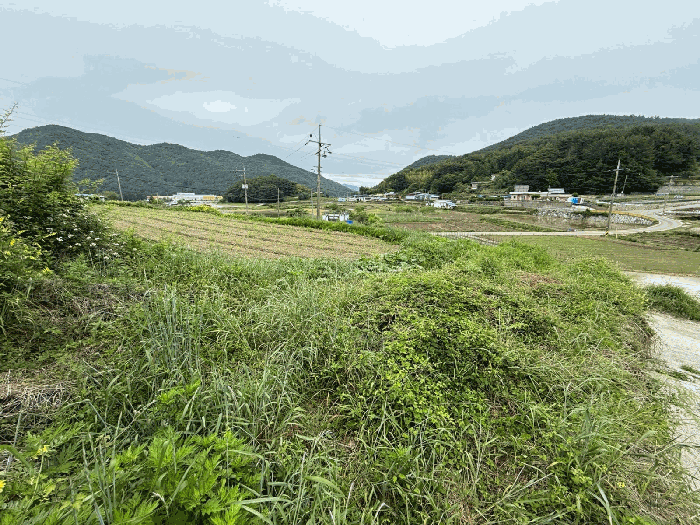 경남 남해군 삼동면 전 경매 물건 사진 5 · 2025타경671