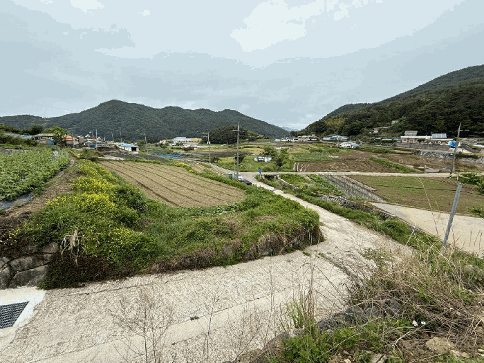 경남 남해군 삼동면 전 경매 물건 사진 6 · 2025타경671