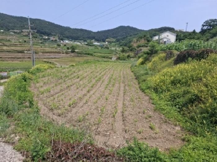 경남 남해군 삼동면 전 경매 물건 사진