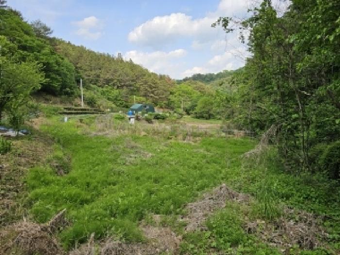 경남 진주시 진성면 답 경매 물건 사진 3 · 2025타경672
