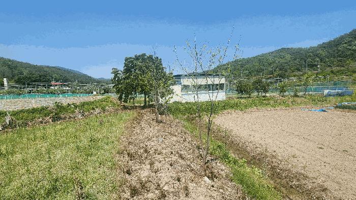 경남 진주시 진성면 답 경매 물건 사진 5 · 2025타경672