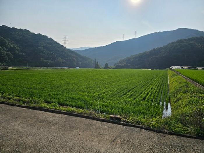 경남 산청군 신안면 임야 경매 물건 사진 3 · 2025타경684