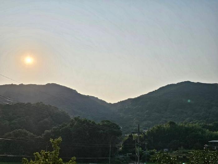 경남 산청군 신안면 임야 경매 물건 사진 2 · 2025타경684