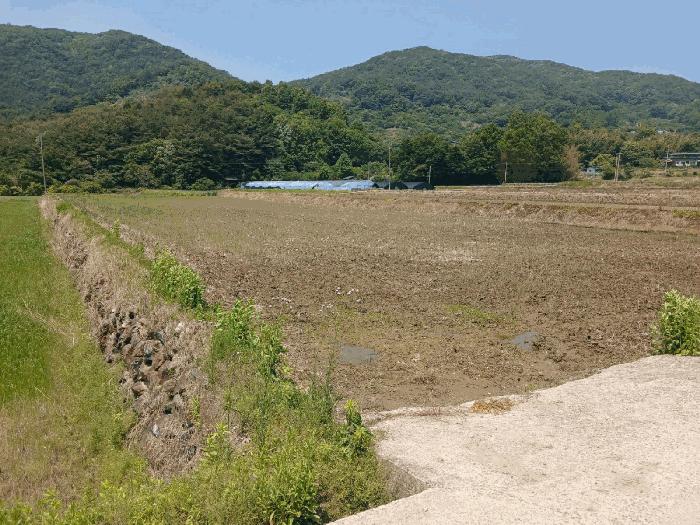 경남 산청군 신안면 임야 경매 물건 사진 4 · 2025타경684