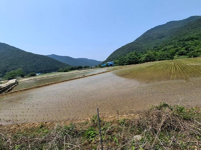 경남 남해군 삼동면 답 경매 물건 사진 2 · 2025타경686