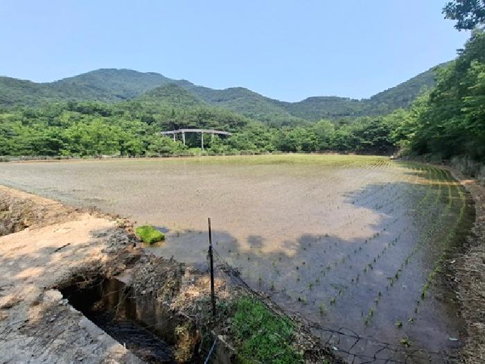 경남 남해군 삼동면 답 경매 물건 사진 3 · 2025타경686