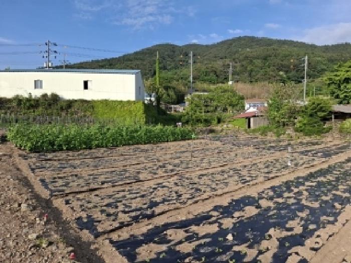 경남 남해군 남면 답 경매 물건 사진