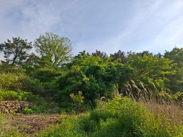 경남 남해군 남면 답 경매 물건 사진 4 · 2025타경687