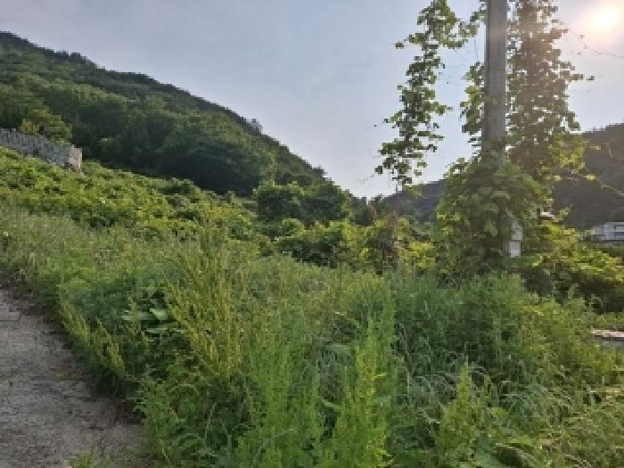 경남 남해군 남면 도로 경매 물건 사진 6 · 2025타경693