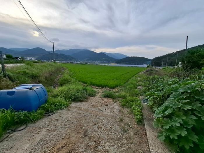 경남 남해군 남해읍 답 경매 물건 사진