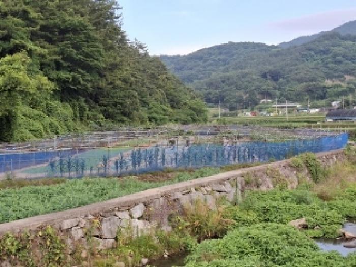 경남 남해군 남해읍 답 경매 물건 사진 2 · 2025타경706