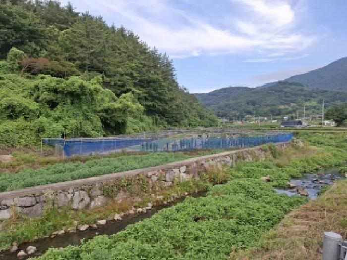 경남 남해군 남해읍 답 경매 물건 사진 3 · 2025타경706