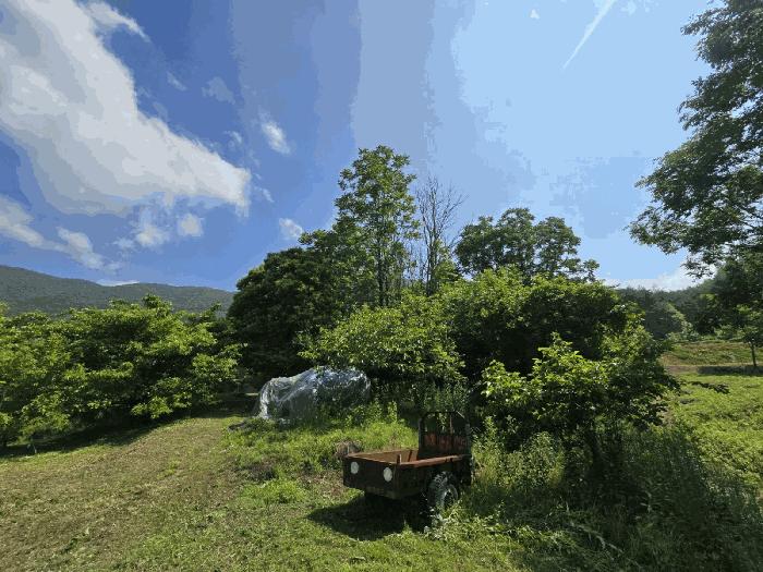 경남 하동군 북천면 임야 경매 물건 사진 4 · 2025타경718