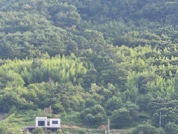 경남 하동군 북천면 임야 경매 물건 사진 5 · 2025타경718