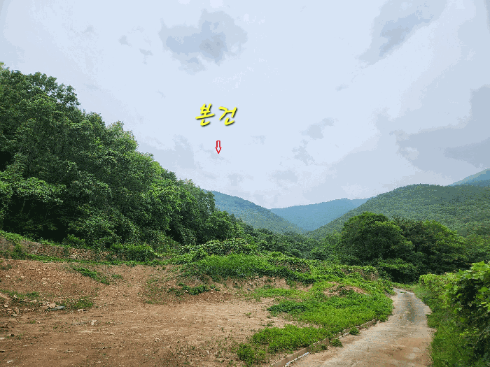 경남 남해군 남면 임야 경매 물건 사진 4 · 2025타경728