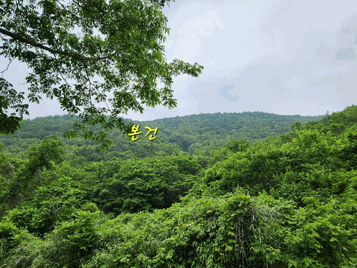 경남 남해군 남면 임야 경매 물건 사진 5 · 2025타경728